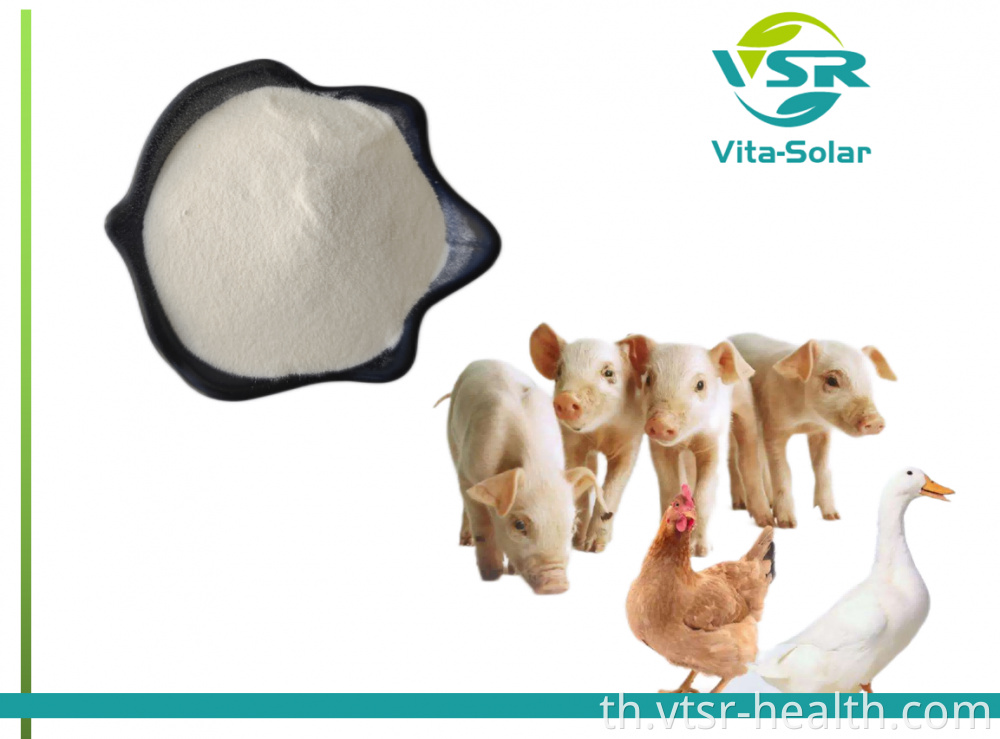 Feed Sterol Ester 50